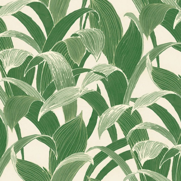 Зеленые обои Alessia-330321