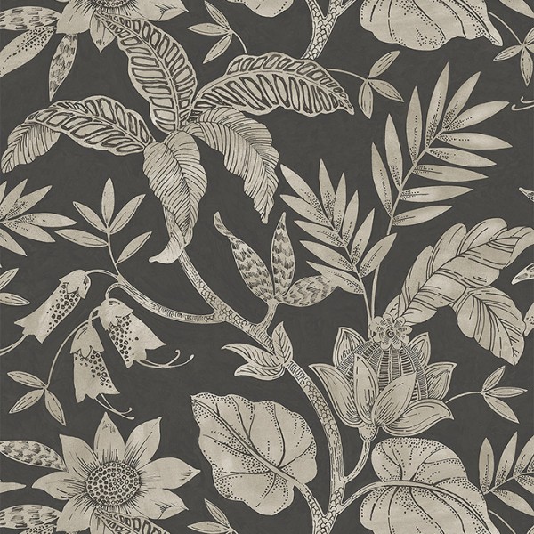 Wallpaper black Rainforest-261800
