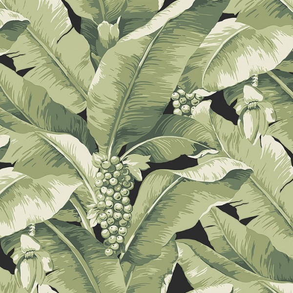 Wallpaper black Paradisio Palm-312618