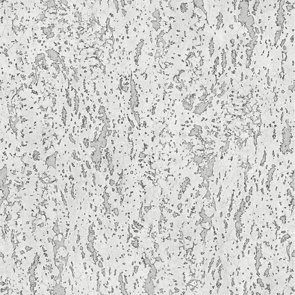 Imitation wallpaper Birch Wood-311923