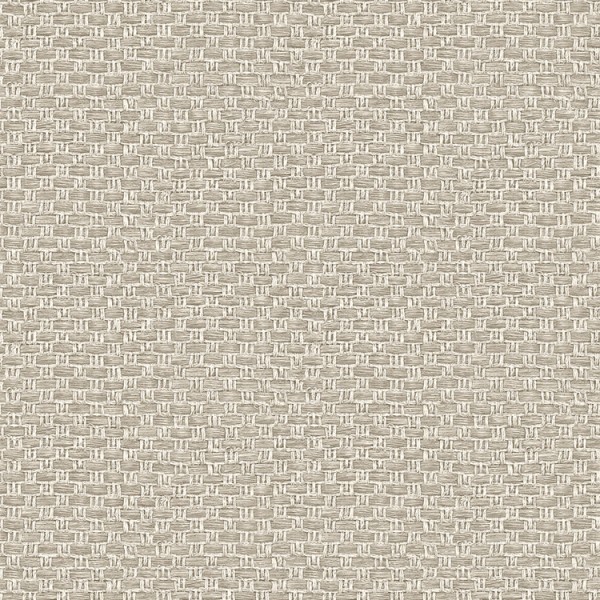 Imitation wallpaper Tishomingo Gravure-343320