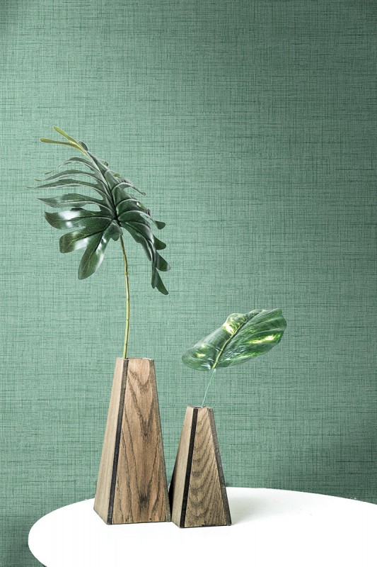 Однотонные обои Terry Lane-230110