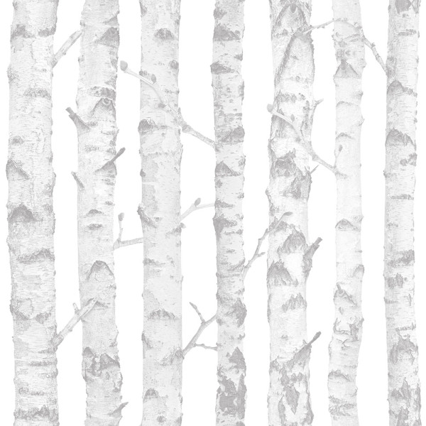 Wallpaper white Birch Glade-986639