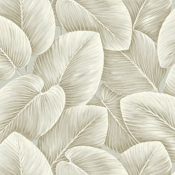 Цветочные обои Andcook-224963