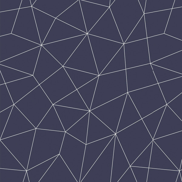 Geometric wallcoverings Salford-891413