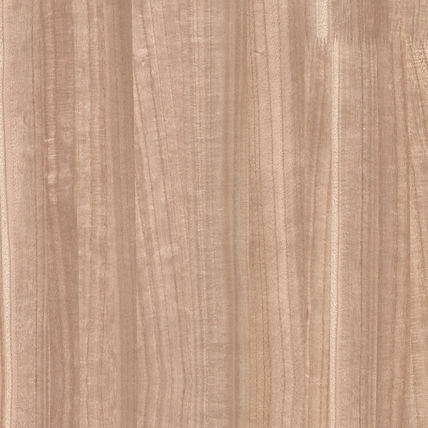 Edle Tapeten Veneer Plain-108716