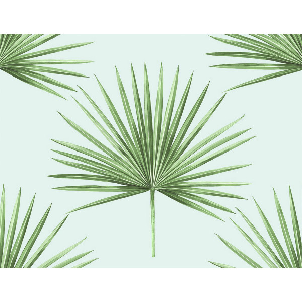 Peel and Stick Wallpaper Pacific Palm-110683