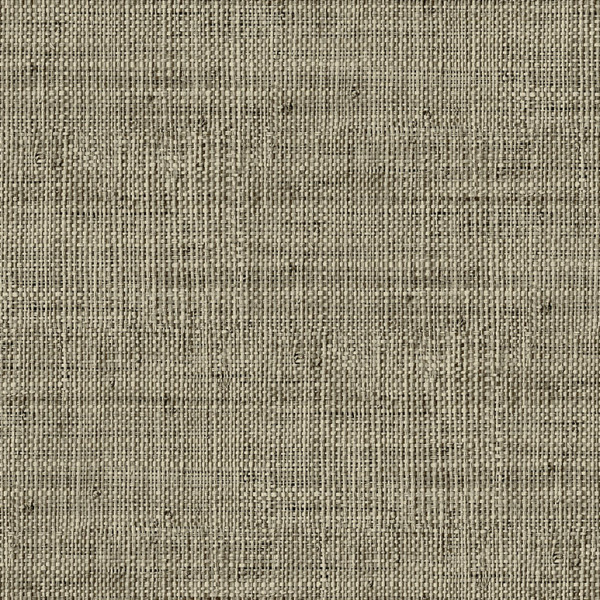 Einfarbige Uni Tapeten Brookline-343943