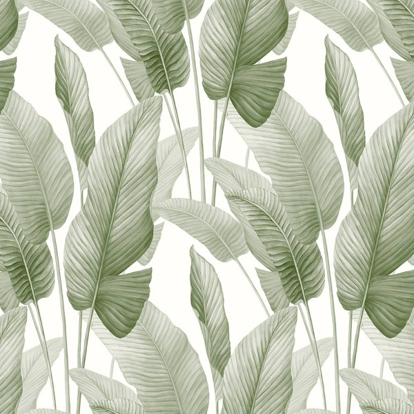 Floral wallpaper Mantra-124266