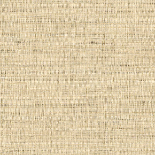 Einfarbige Uni Tapeten Surya-331866