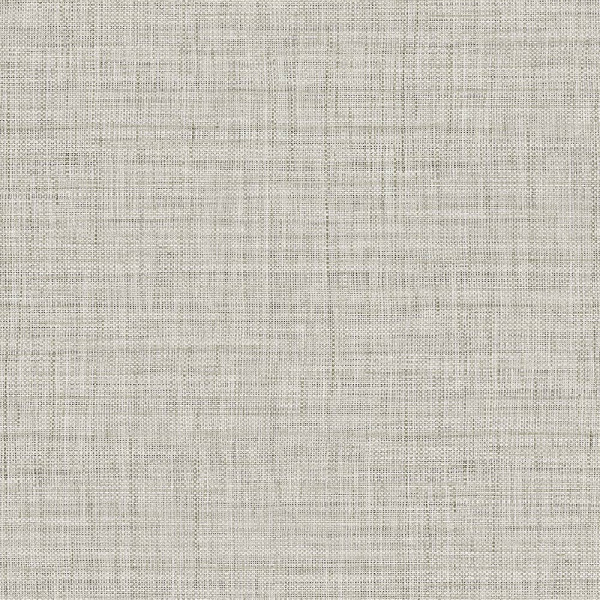 Einfarbige Uni Tapeten Surya-310450