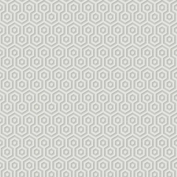 Geometrische Tapeten Hexagons-0A6659