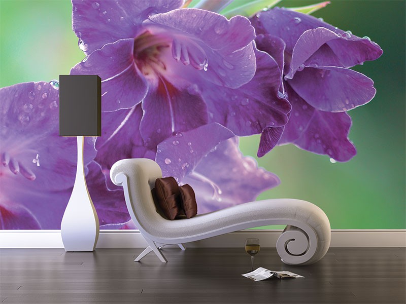 Fototapeten Blumen und Floristik Blooming-254314