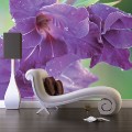 Fototapeten Blumen und Floristik Blooming-254314
