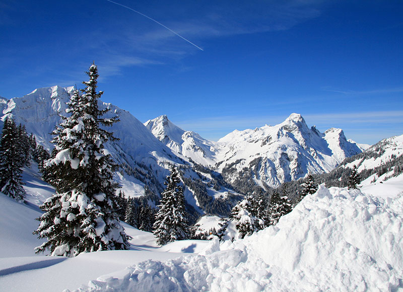Murals Mountains and forests Winter Glow-877202