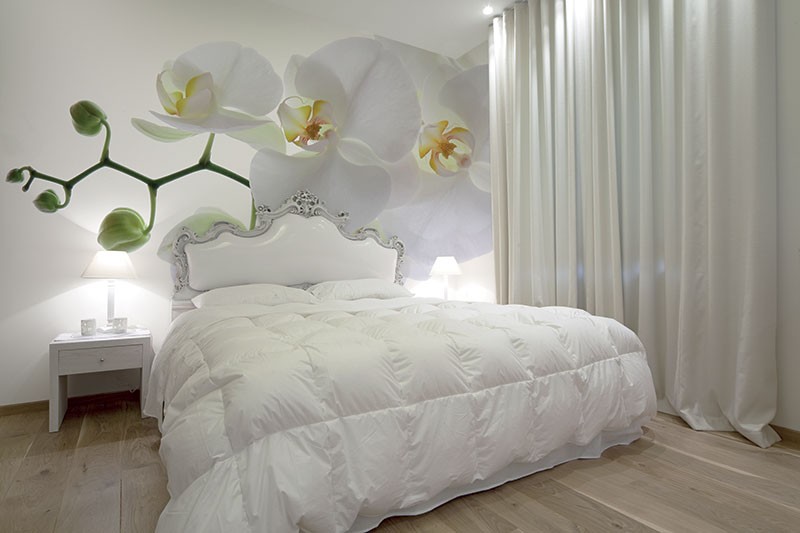 Murals Floristics and Flowers Orchid-213044